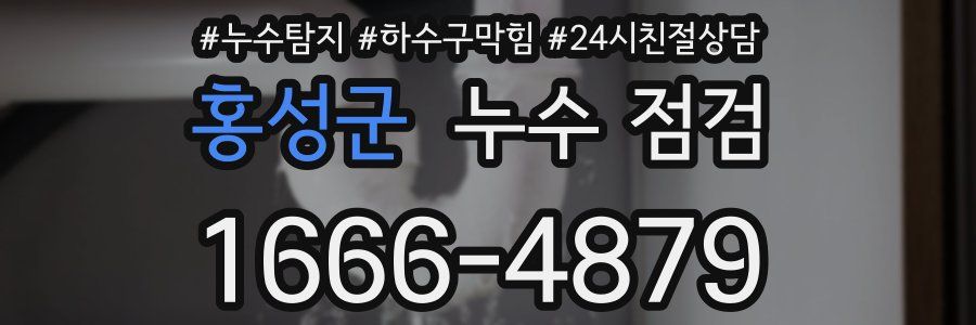 홍성군 누수 점검
