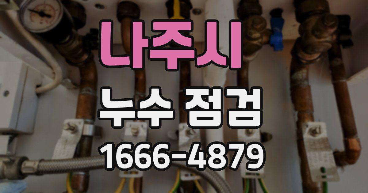 나주시 누수 점검