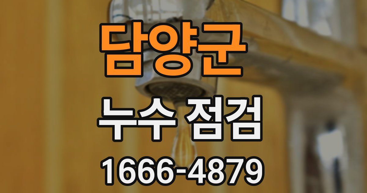 담양군 누수 점검