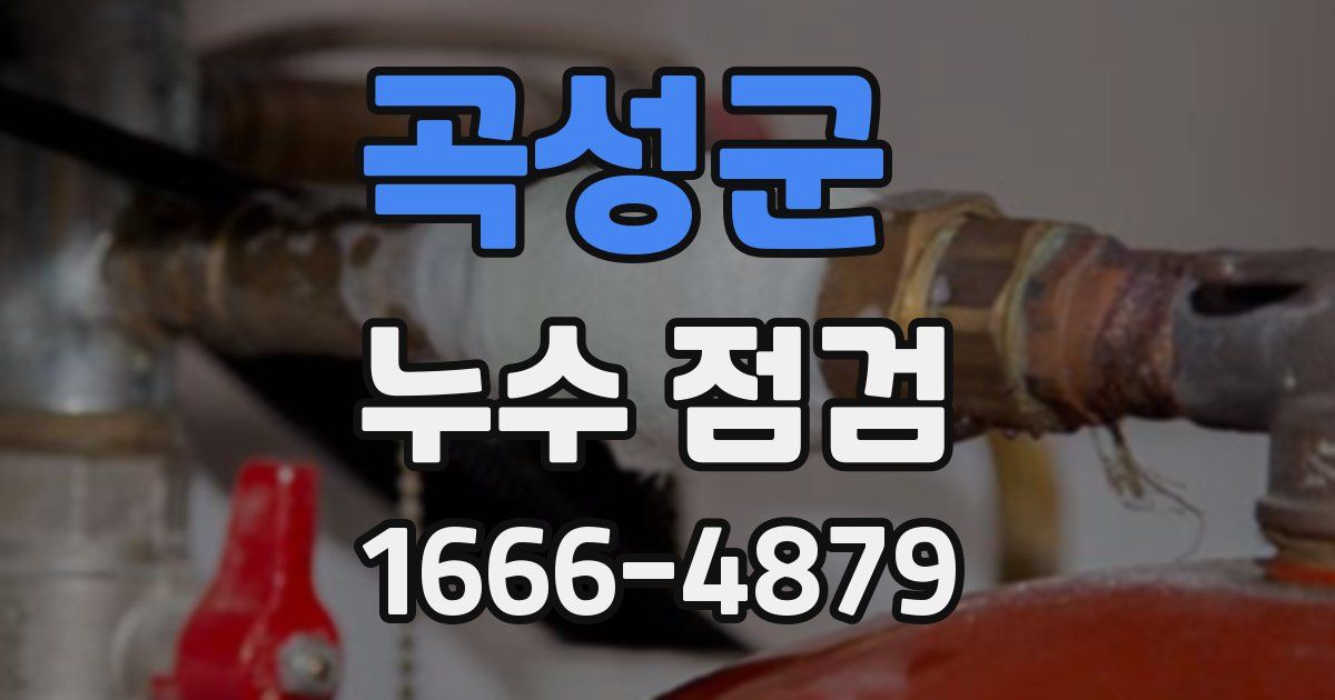 곡성군 누수 점검