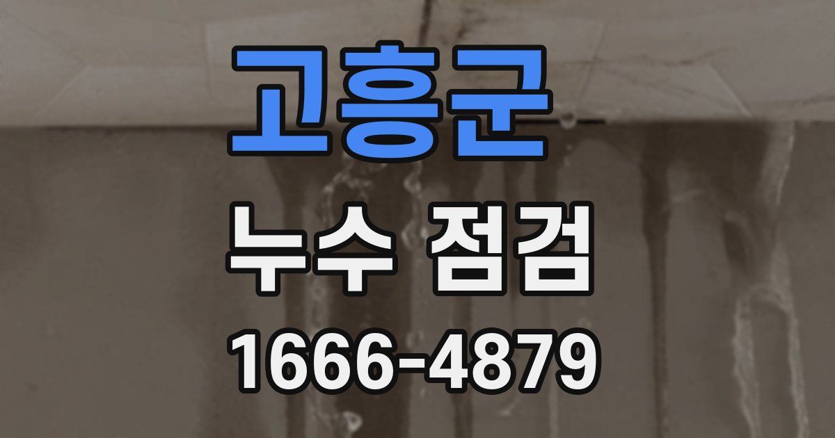 고흥군 누수 점검
