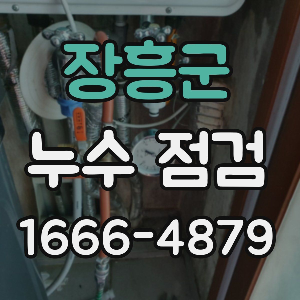 장흥군 누수 점검
