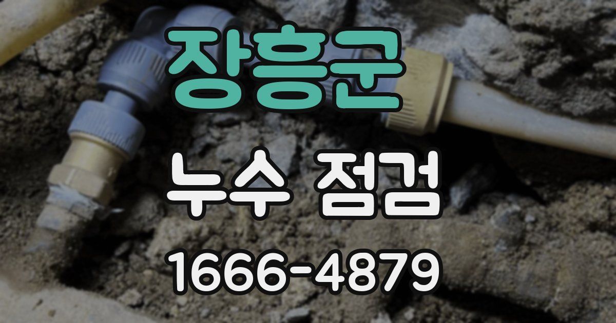 장흥군 누수 점검