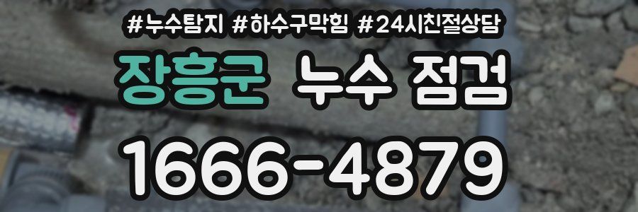 장흥군 누수 점검