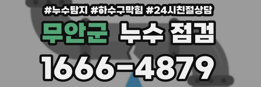 무안군 누수 점검