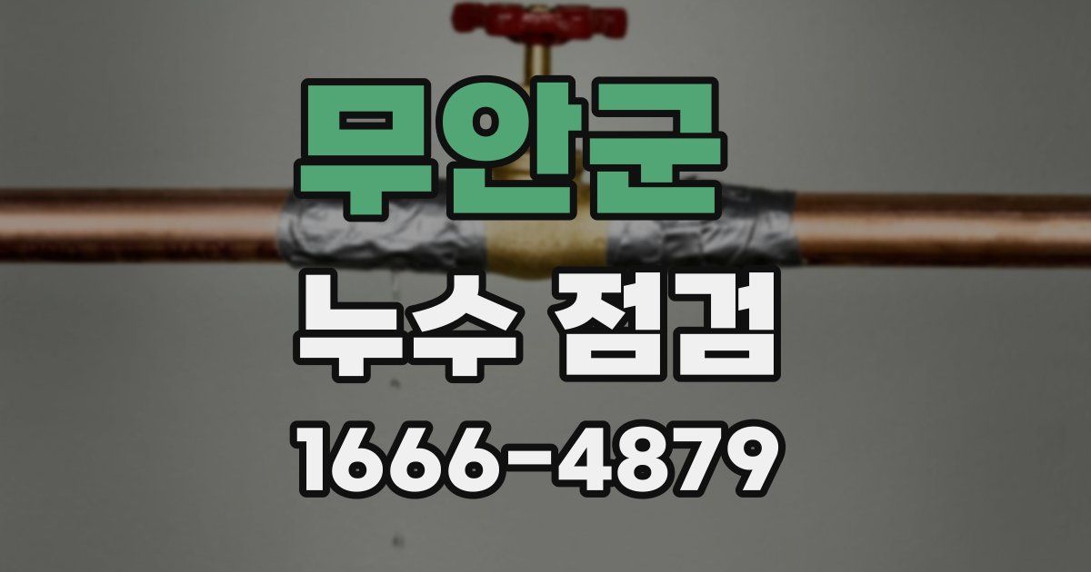무안군 누수 점검