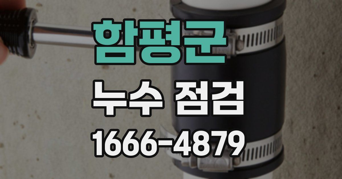 함평군 누수 점검