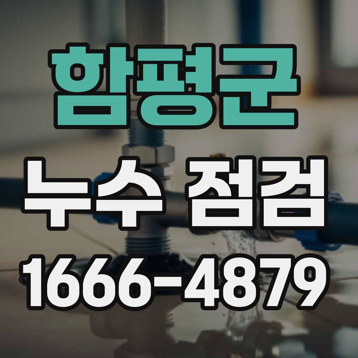 함평군 누수 점검