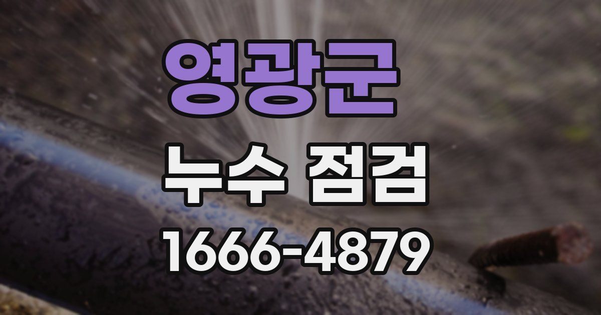 영광군 누수 점검