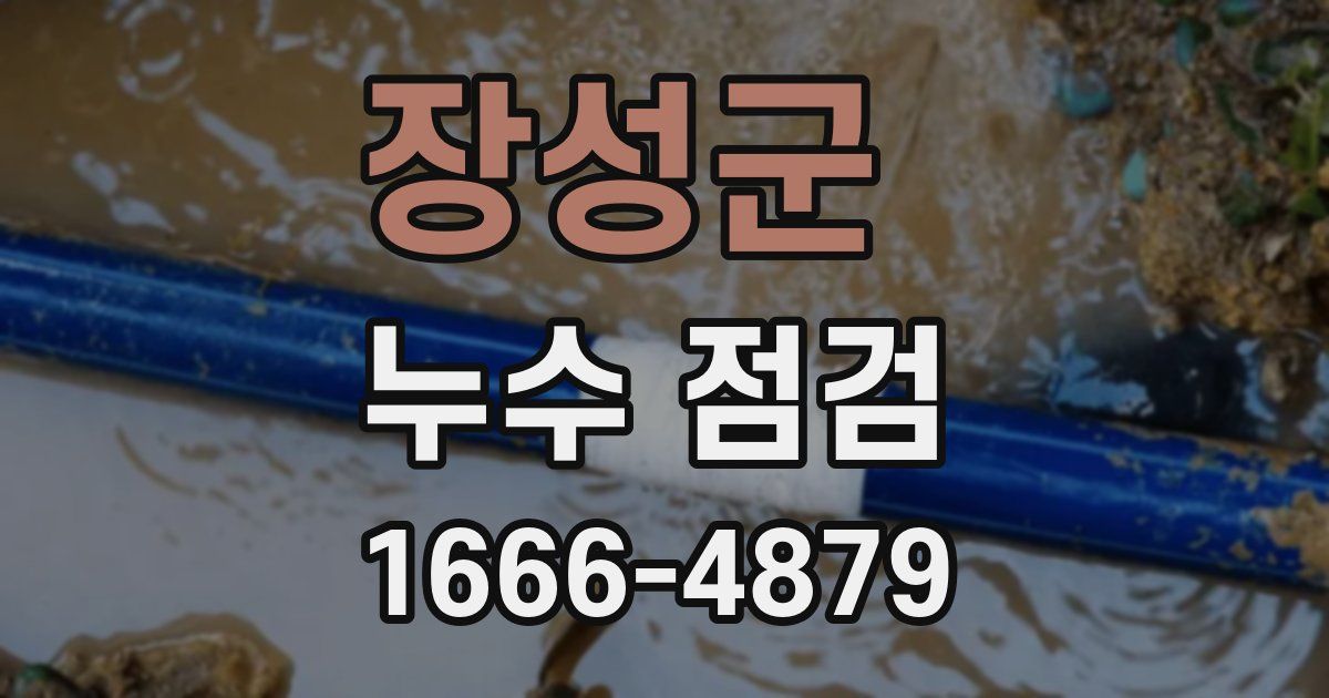 장성군 누수 점검