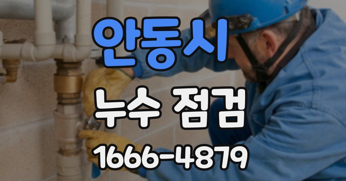 안동시 누수 점검