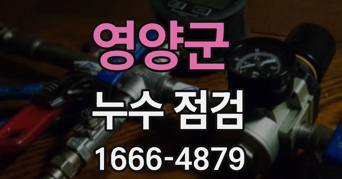 영양군 누수 점검
