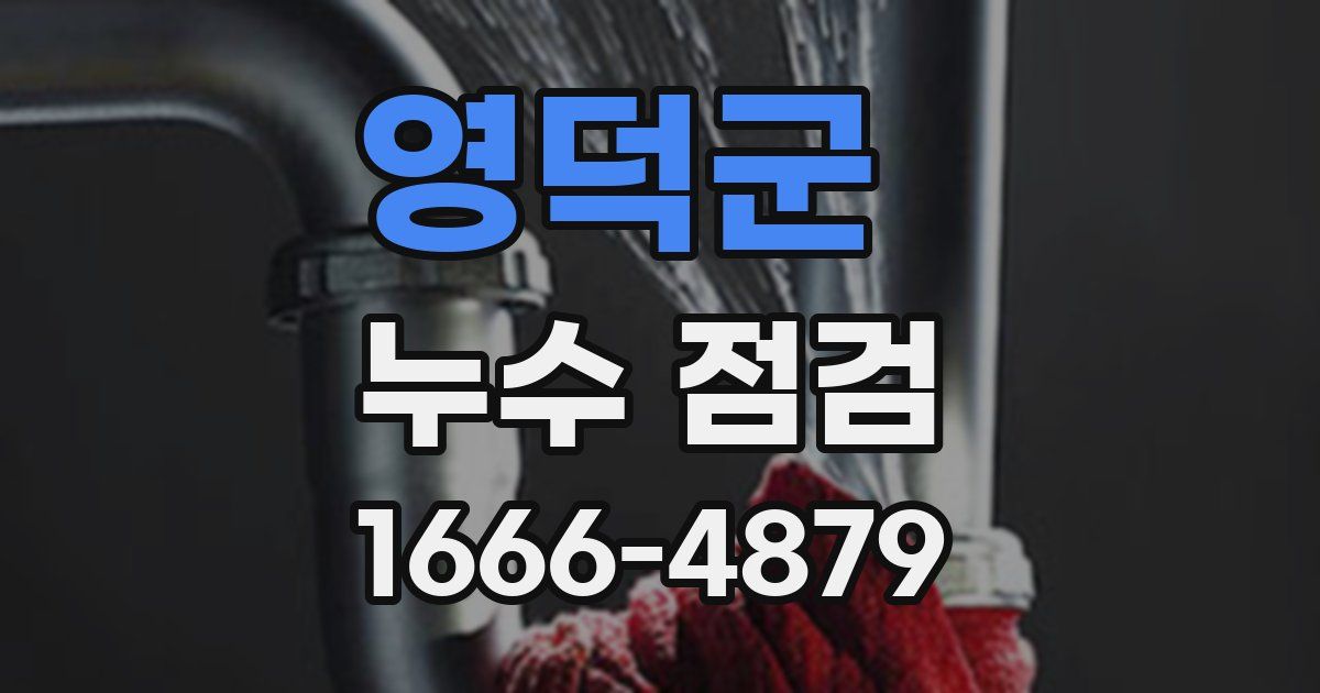 영덕군 누수 점검