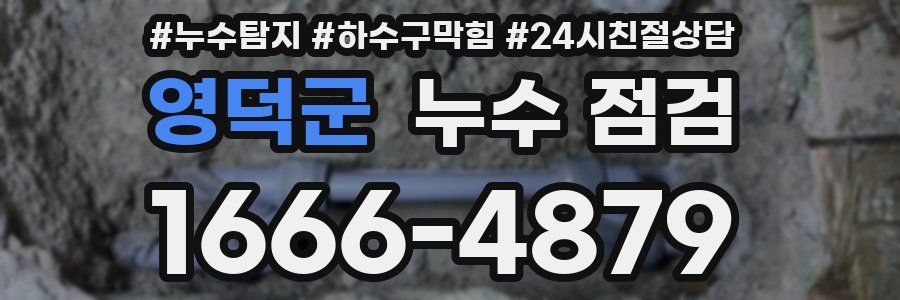 영덕군 누수 점검