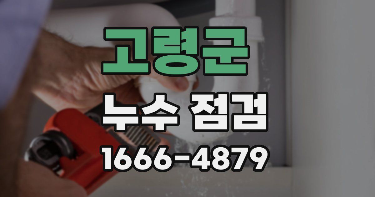 고령군 누수 점검