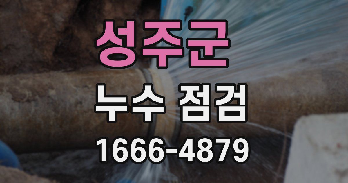 성주군 누수 점검