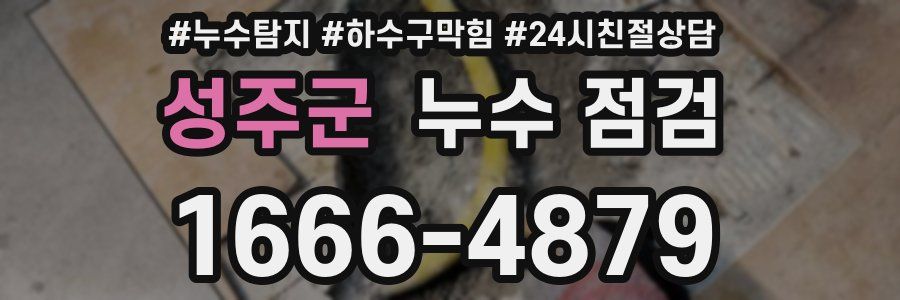 성주군 누수 점검