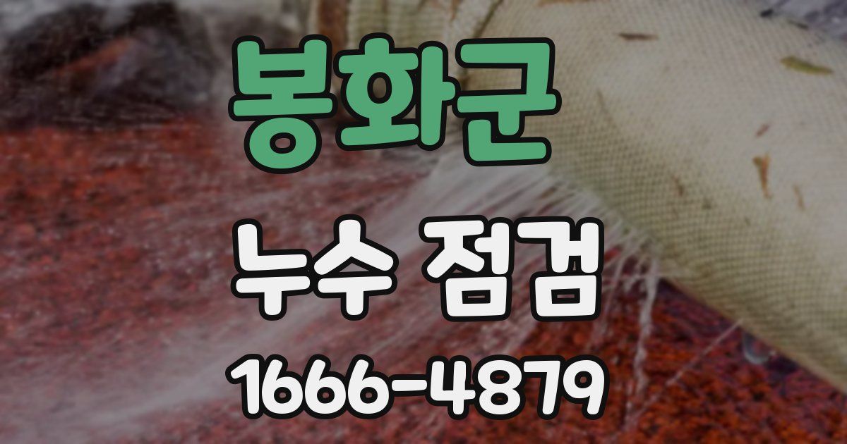 봉화군 누수 점검