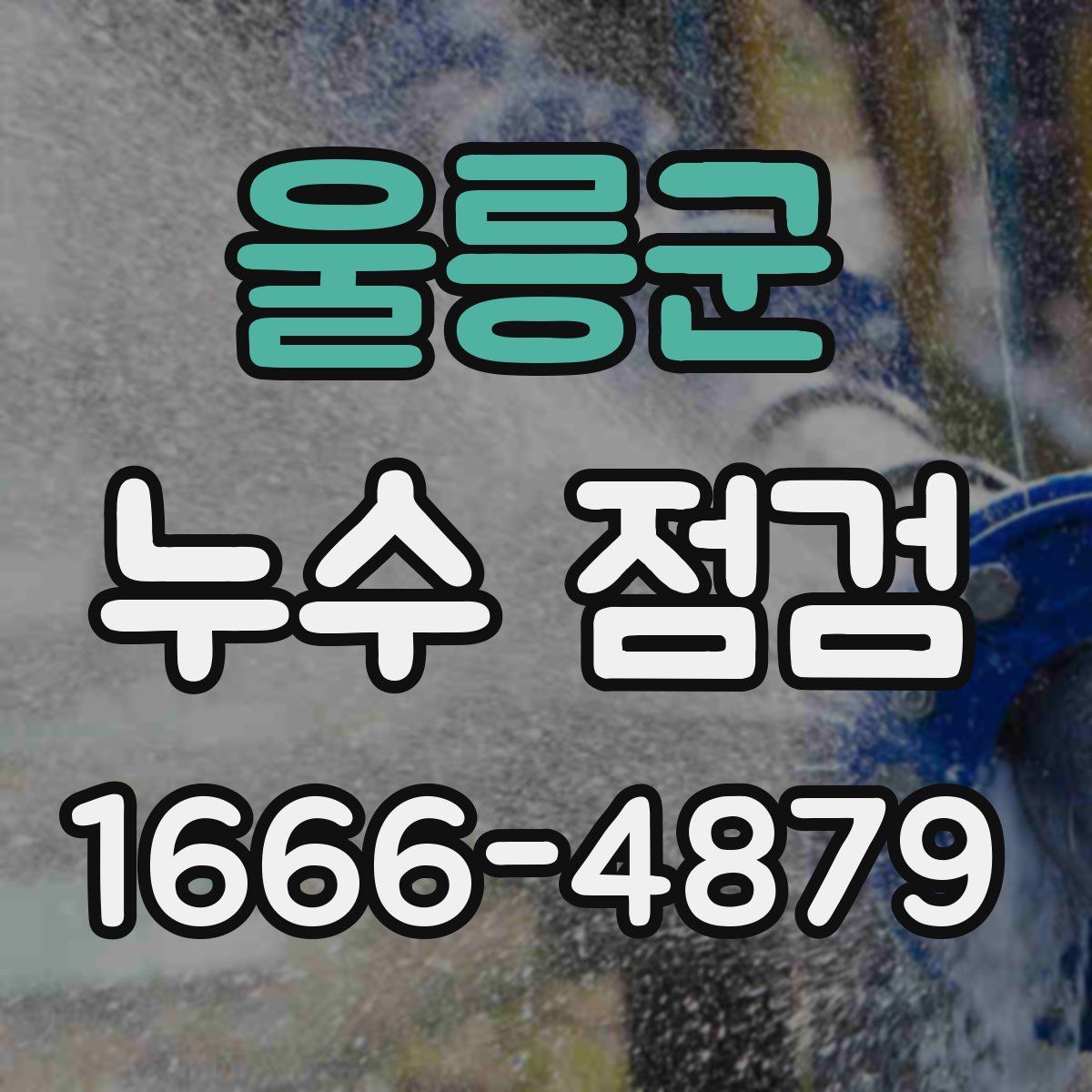 울릉군 누수 점검