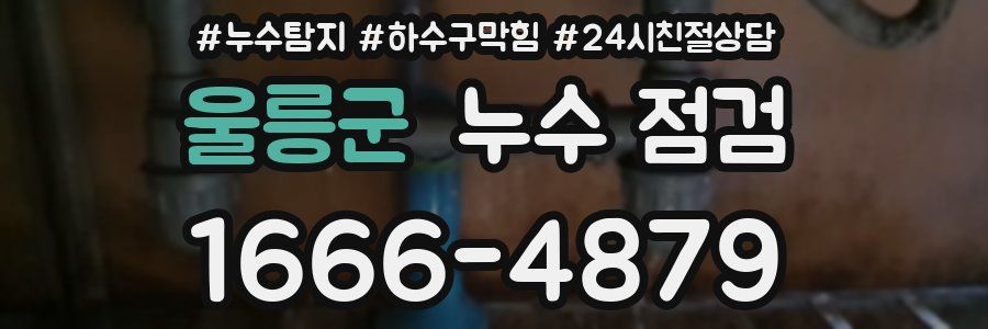 울릉군 누수 점검