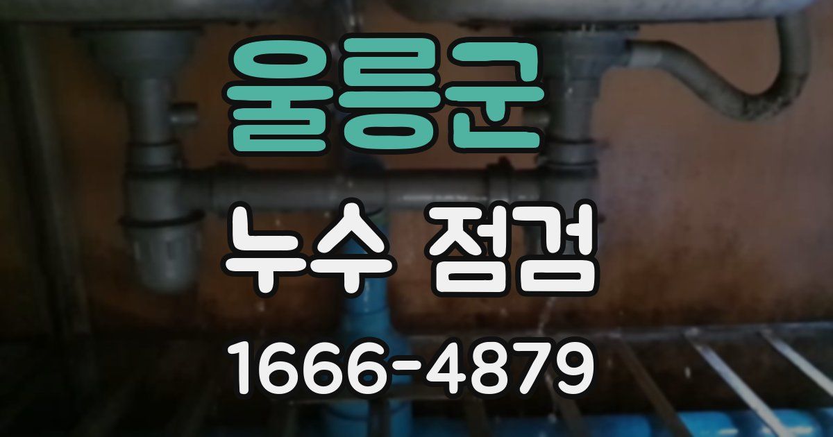 울릉군 누수 점검