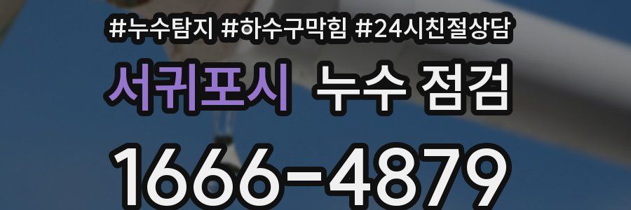 서귀포시 누수 점검