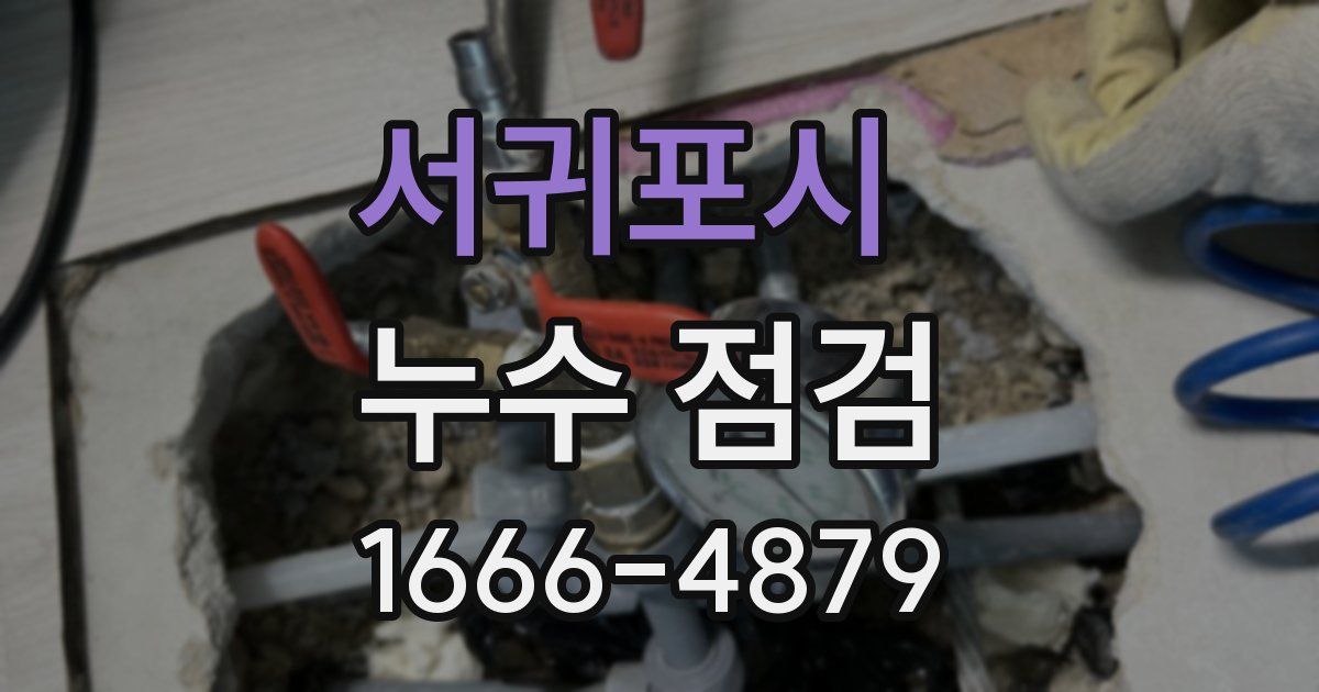 서귀포시 누수 점검