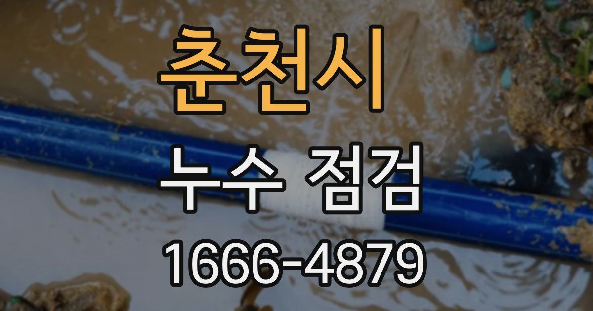 춘천시 누수 점검