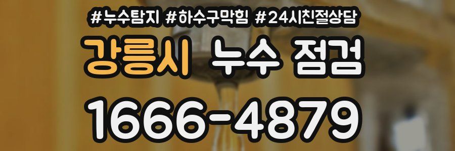 강릉시 누수 점검