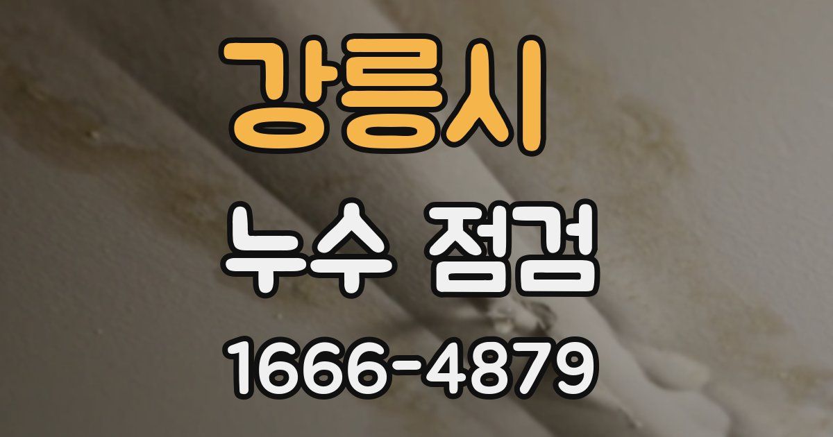 강릉시 누수 점검