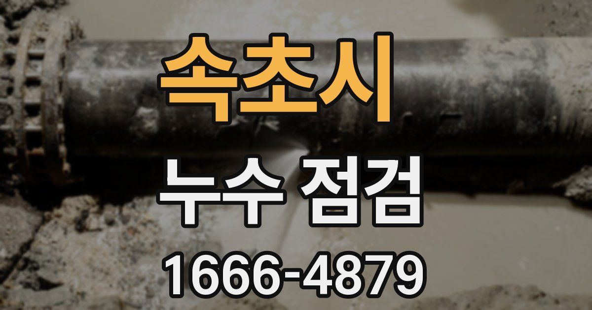 속초시 누수 점검