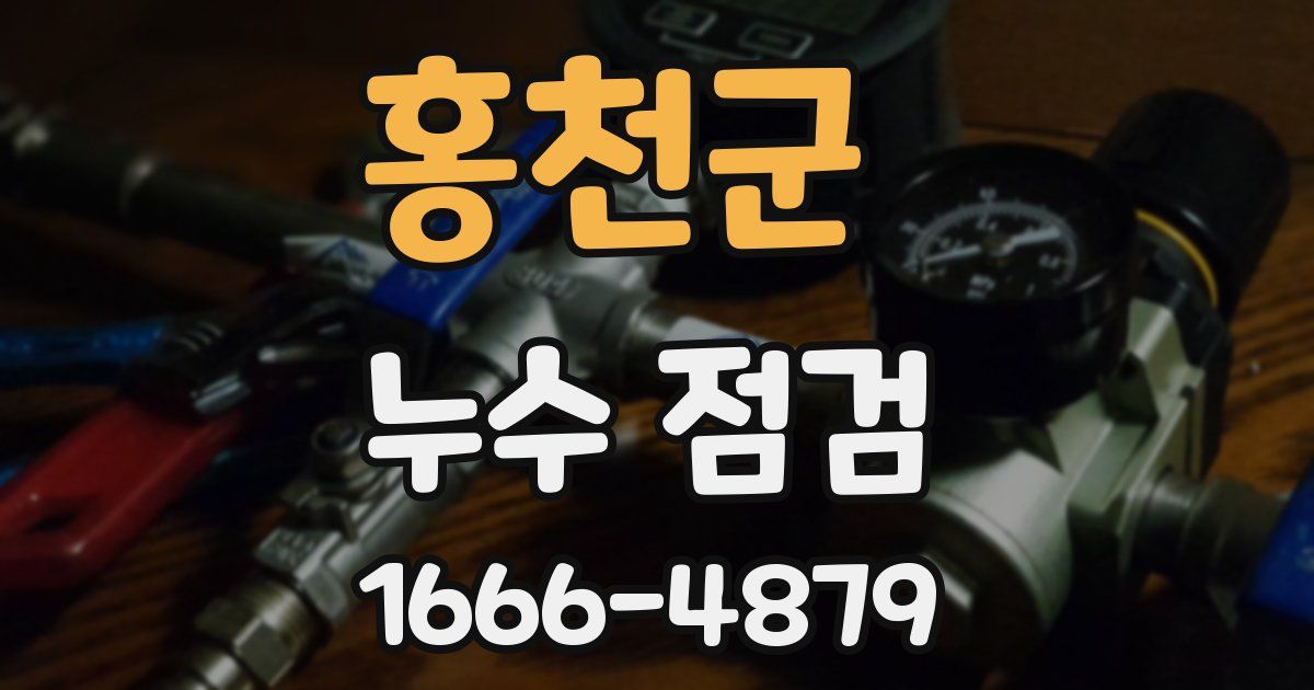 홍천군 누수 점검