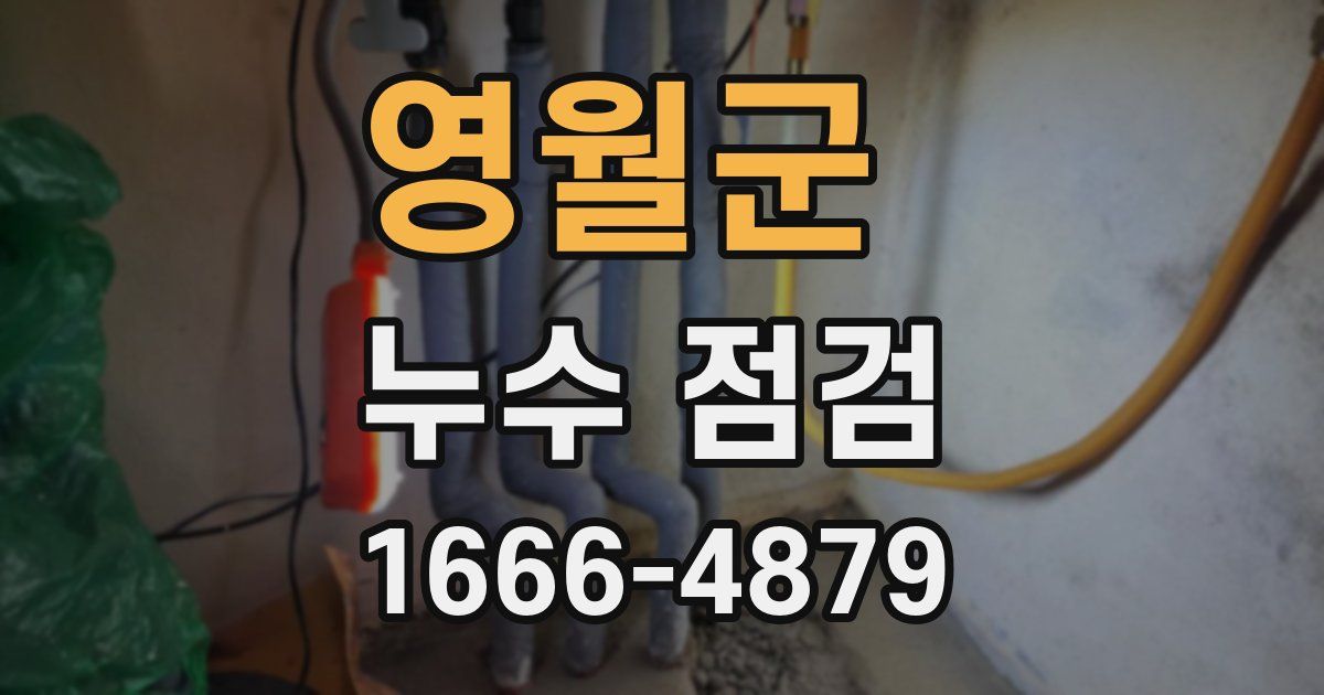 영월군 누수 점검