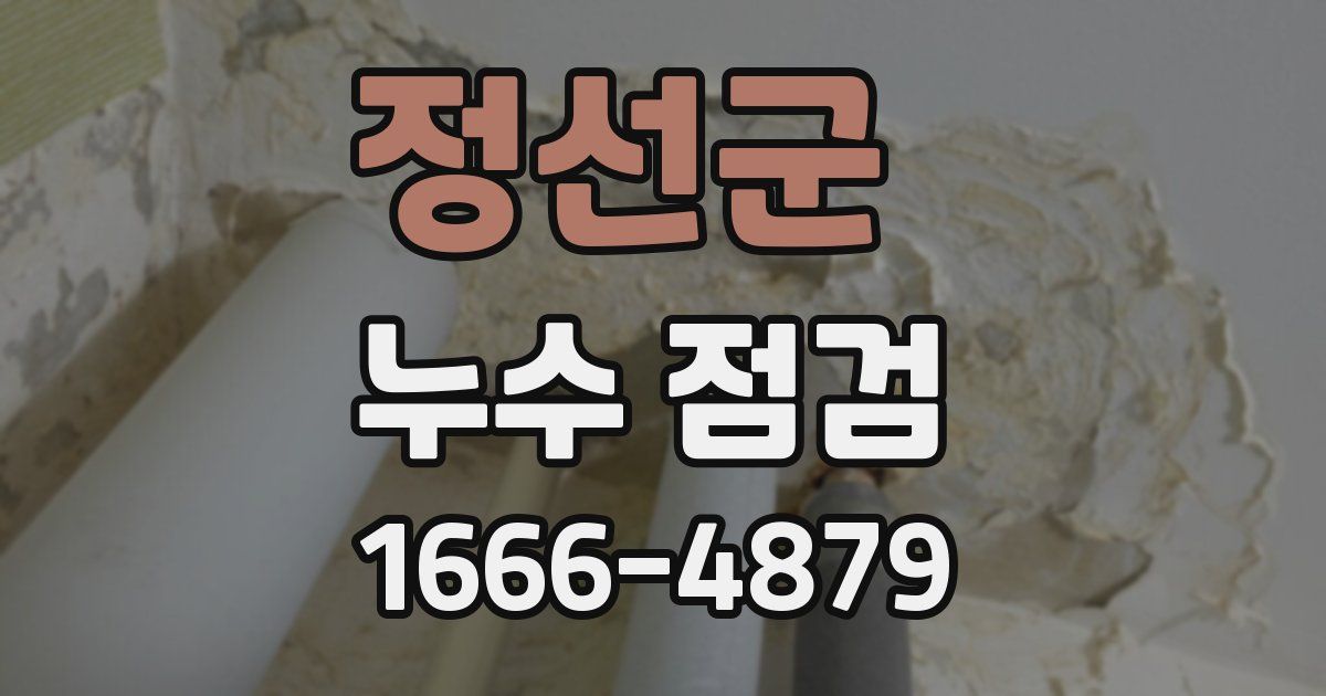 정선군 누수 점검