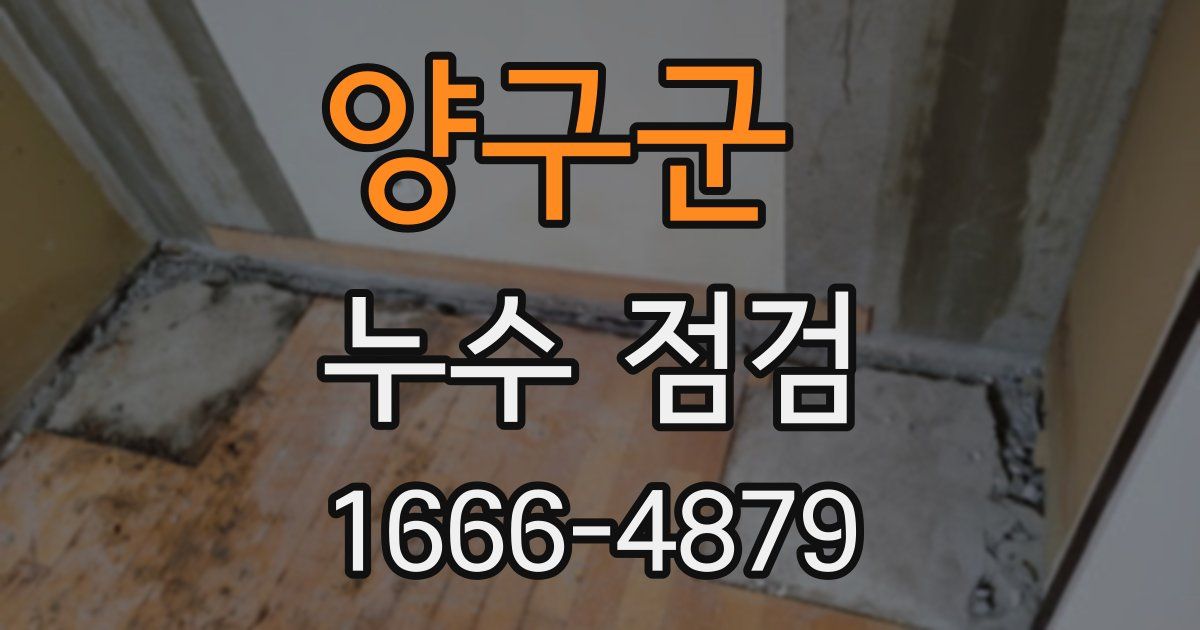 양구군 누수 점검