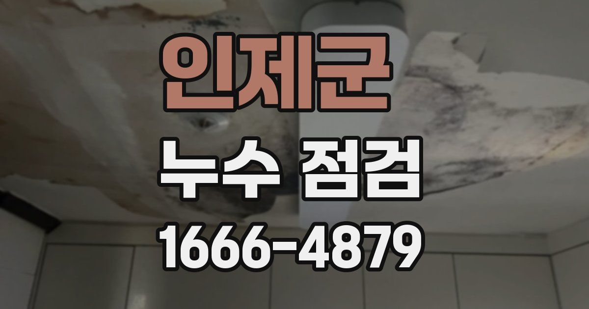 인제군 누수 점검