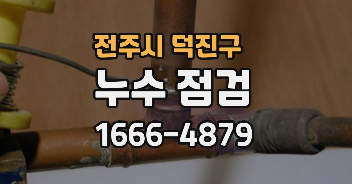 전주시 덕진구 누수 점검