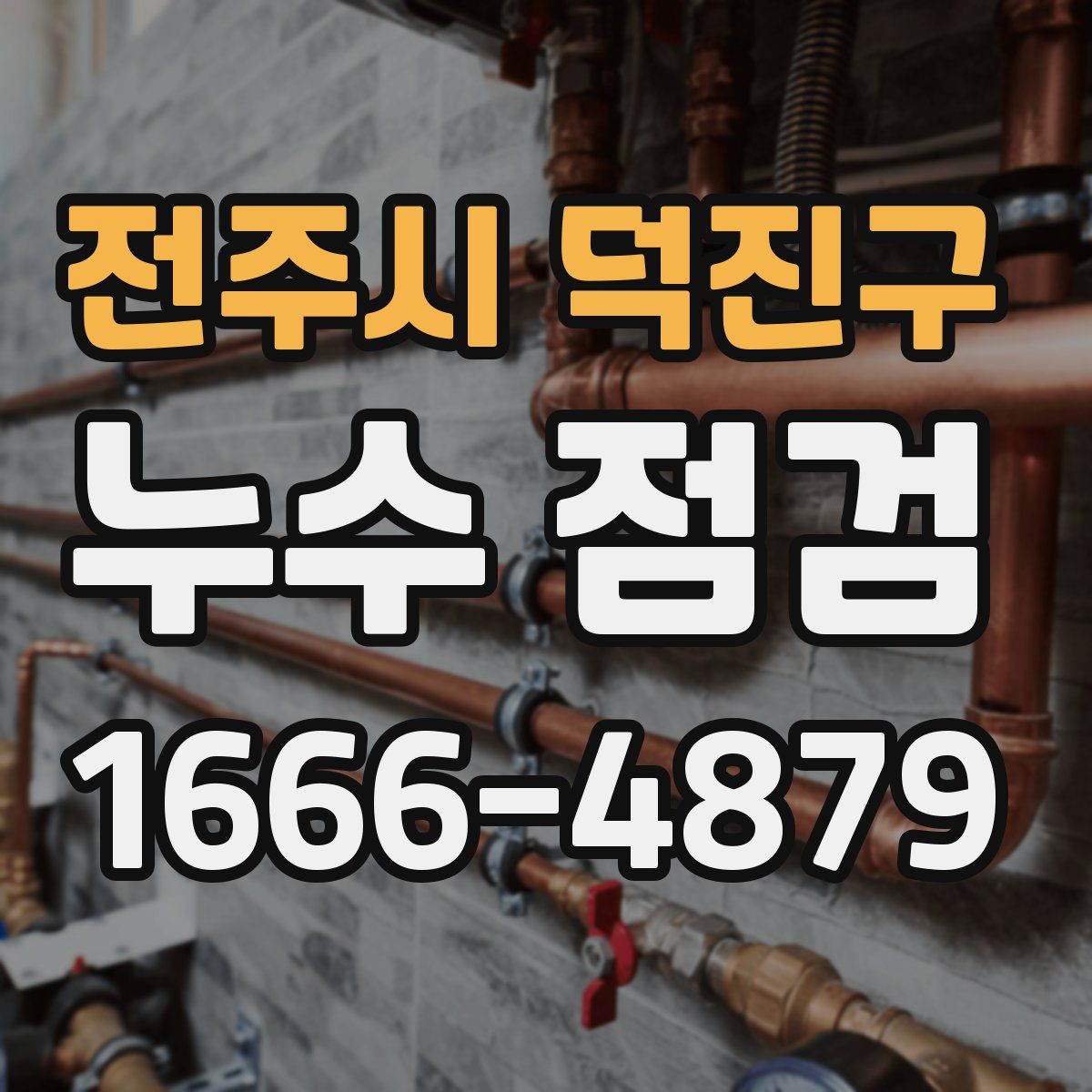 전주시 덕진구 누수 점검