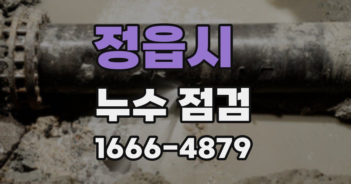 정읍시 누수 점검