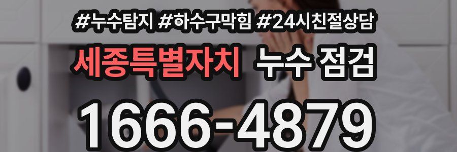 세종특별자치 누수 점검