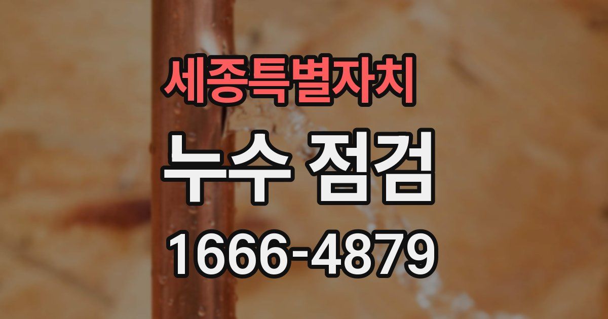 세종특별자치 누수 점검