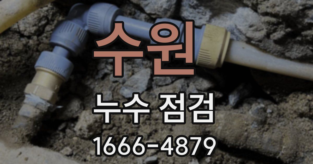 수원 누수 점검