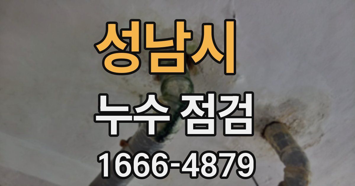 성남시 누수 점검