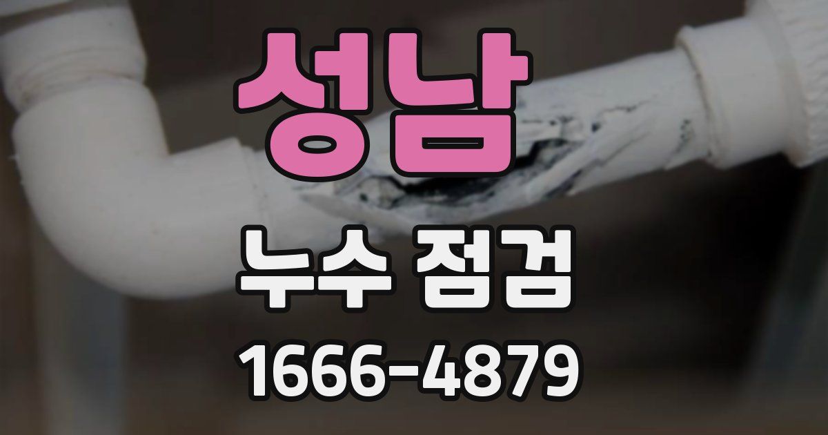 성남 누수 점검