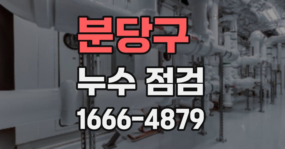 분당구 누수 점검