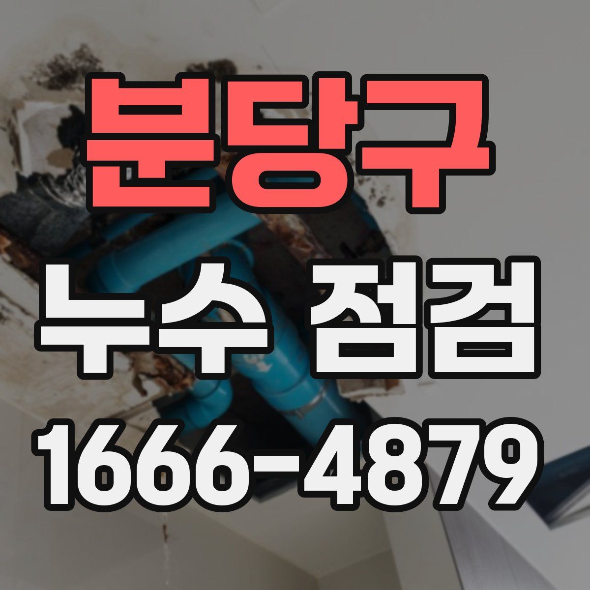 분당구 누수 점검