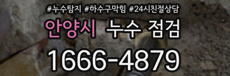 안양시 누수 점검