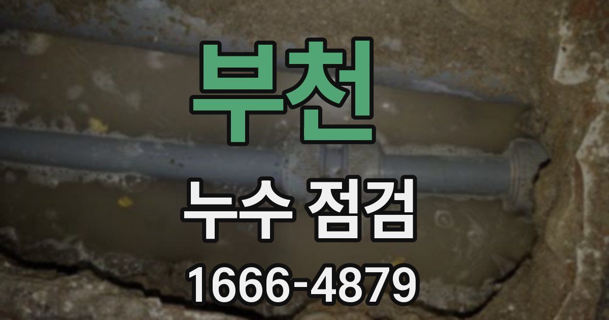부천 누수 점검