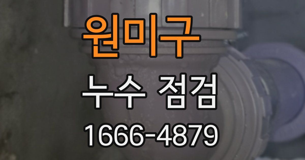 원미구 누수 점검