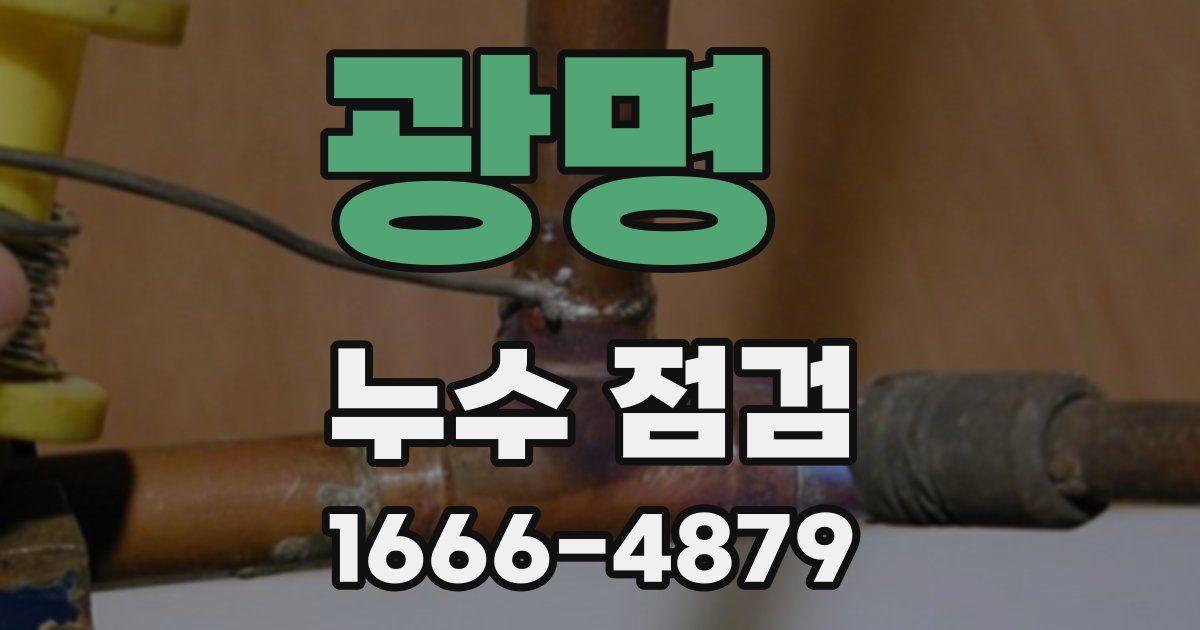 광명 누수 점검